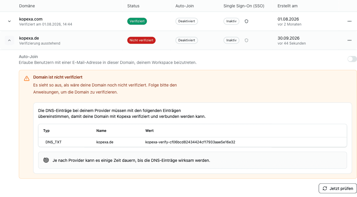 DNS-TXT-Eintrag zur Verifizierung