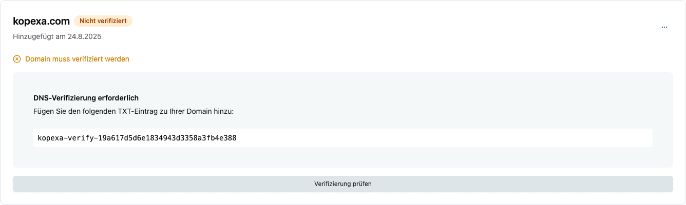 Screenshot: DNS-Verifizierungsdetails